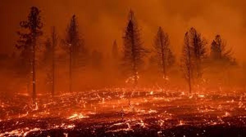 أكبر حريق بأمريكا هذا العام.. يحرق  أكثر من 3 آلاف و700 فدان