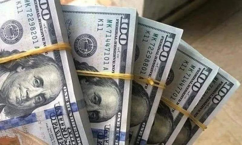 سعر الدولار اليوم مقابل الجنيه