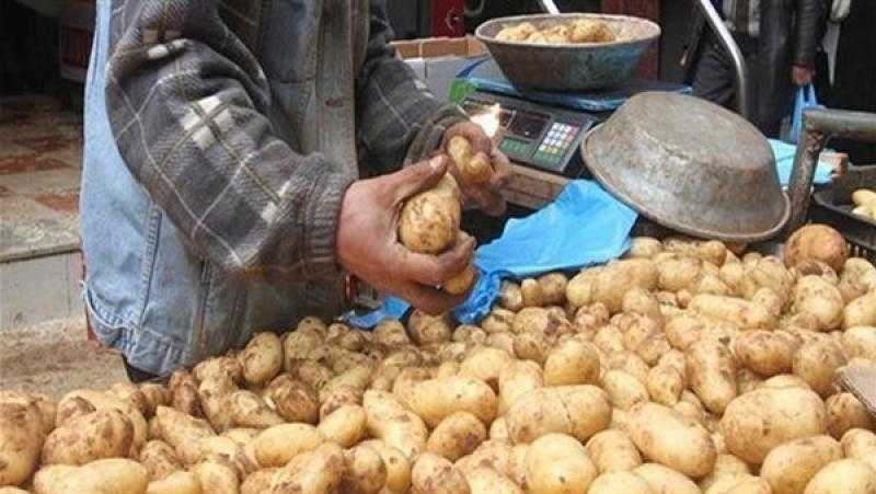 شعبة الخضراوات تحذر من تفاقم أزمة البطاطس الأيام المقبلة