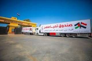 وصول أكبر سفينة مساعدات لغزة إلى ميناء العريش قادمة من الإمارات