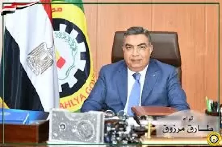 محافظ الدقهلية