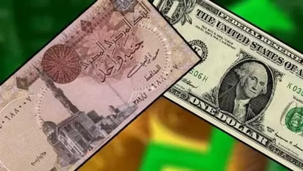 سعر الدولار في مصر اليوم