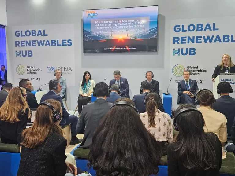 حلقة نقاشية رفيعة المستوى حول مبادرة «تيراميد» ضمن «COP 29» في باكو